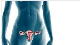 ENDOCRINOLOGIA GINECOLOGICA