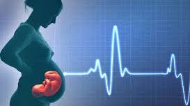 MONITOREO FETAL